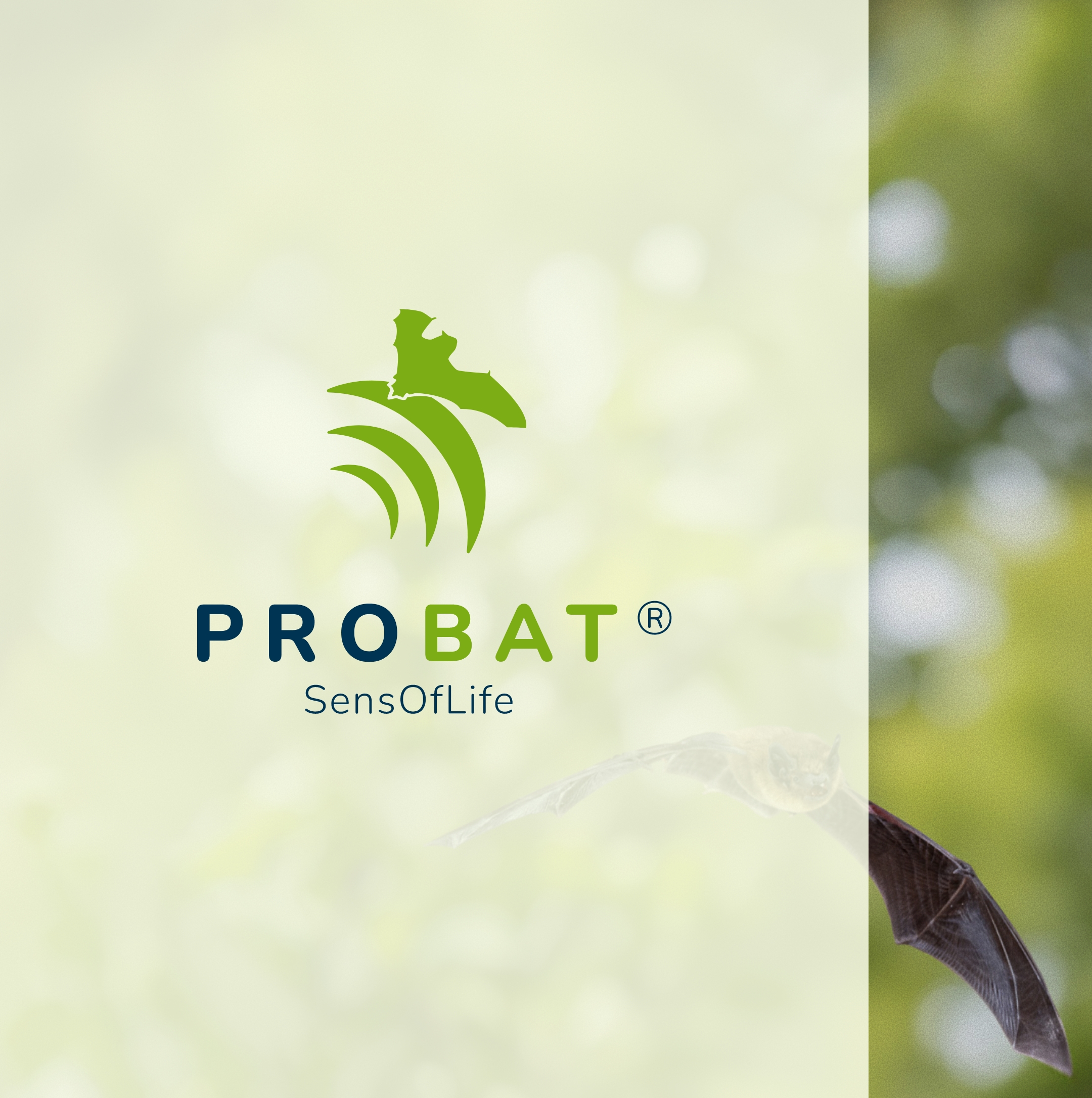 Intro - portail probat